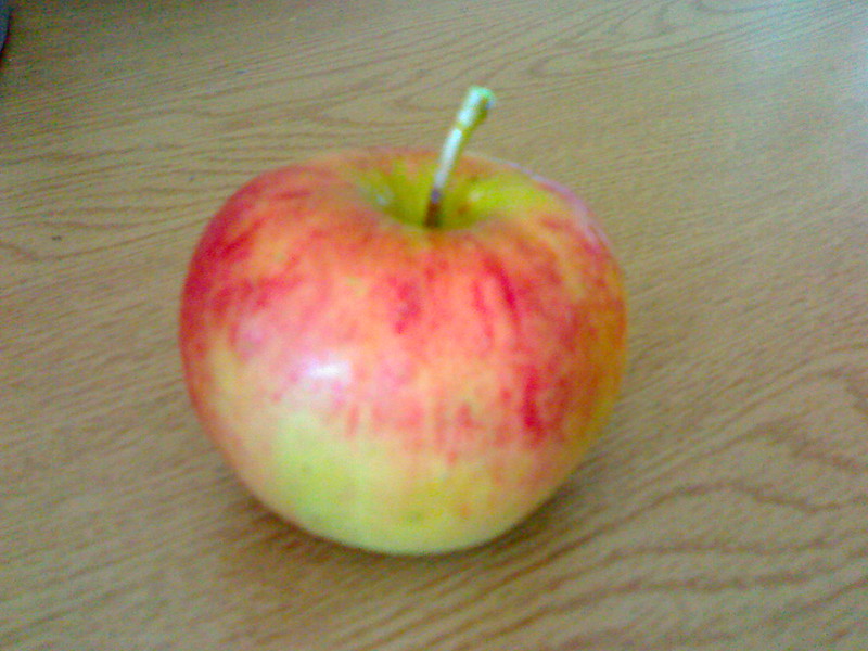 An apple from our new trees