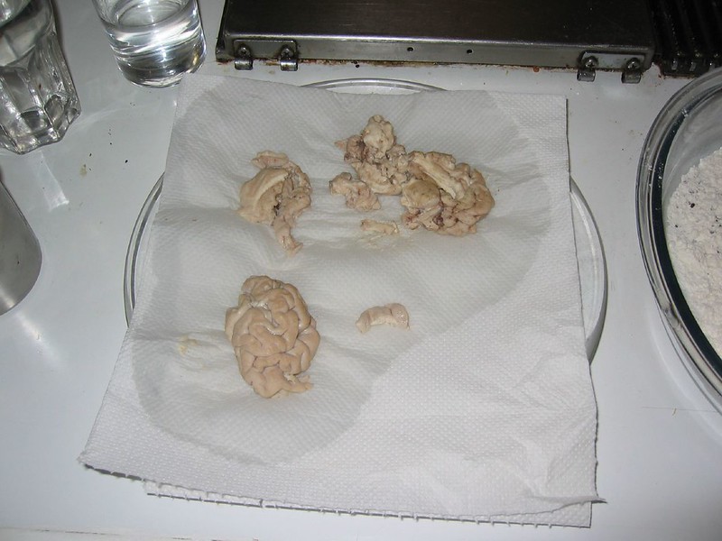Pig Brains